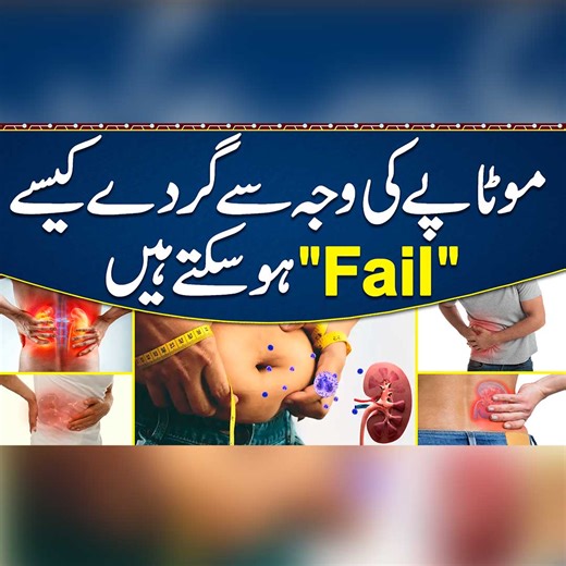 3.7K views · 40 reactions | Kidney Failure Symptoms - Mutapay Ka ilaj - How Obesity Affects The Kidney - Kidney Care Tips - Kidney Pain Treatment | Sehat Mand - Health & Lifestyle | Facebook
