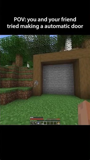 when you and your friend make a automatic door