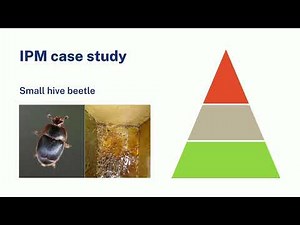 Integrated Pest Management (IPM) for beekeepers