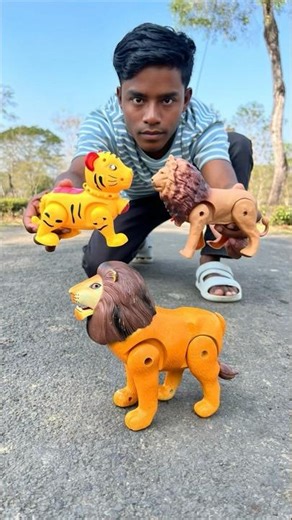 Remote Control 2 Ta Suto Lion And Big Lion Unboxing