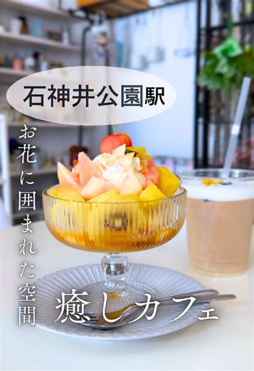 ↓詳しくチェック↓ 年内閉店のお花に囲まれた可愛いカフェ 今しか楽しめないゆったり癒しタイム -注文商品- ・プリンアラモード ・カフェオレ(アイス) フルーツたっぷりの中にプリンが隠れてるプリンアラモードにお花の乗った可愛いカフェラテでほっとひと息💐 📍店舗情報 『ふわたん』 🗺️ 東京都練馬区石神井町3-27-7 CHARME 1F 🚃西武池袋線 「石神井公園駅」から徒歩4分 🕙営業時間：10:00-18:00(L.O.17:40) 🗓️定休日：不定休 🪑席の種類：テーブル席、カウンター席 その他：閉店日は現在未定／テイクアウト可／ドライフラワーやアートフラワー、雑貨にポケモンカードの販売あり ↓他の西武線沿線のカフェもチェック @ラテさん｜西武線カフェさんぽ