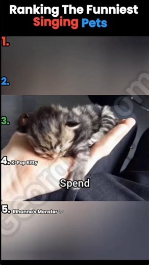 🐈🐕🦜The Funniest Singing Pets On The Internet #shorts #pets #funny