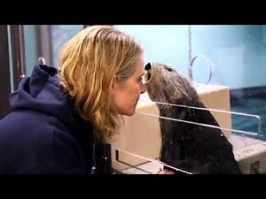 The Aquarium on Animal Planet