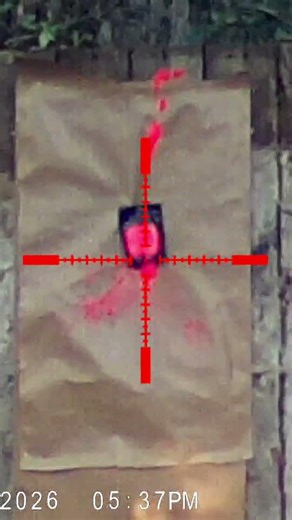 Airforce Texan ...This is Crazy at 100 yards