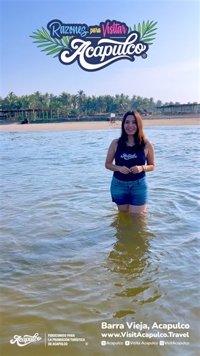 🤩Te presentamos las razones para visitar Acapulco🌴🌊 Ven a disfrutar las maravillas de Acapulco, da un paseo por la bahía, conoce espacios naturales y practica tu deporte favorito. Si conoces una razón más para venir a este paraíso, ¡déjala en los comentarios! 👇🏻 📍Abierto Mexicano de Tenis 📍Arena GNP Seguros 📍Banyan Tree Cabo Marqués 📍Encanto Acapulco 📍Las Brisas Acapulco 📍Banquetes Palazuelos 📍Barra vieja paseo en la laguna y manglares #Acapulco #HogarDelSol #ElSolTeLlama #VisitaAcap