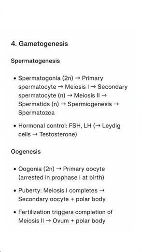 class 12 bio notes 📒 human reproduction.. #notes