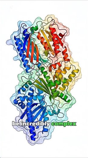 How We Build new medicine from Scratch: The Fragment Based Discovery 🧬