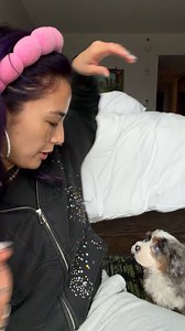 Come meet NOVA no 🥹♥️🤗keywords: exltd link, Brandis skincare, wrinkle remover bundle or anti aging bundle, powder or foundation trio, advent, stocking stuffers, lookbook | Brandi Raines