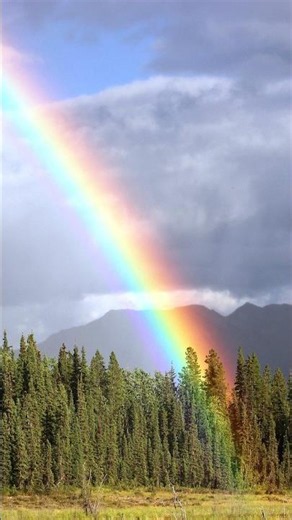 How are rainbows made||How a rainbow is formed||Rainbow facts||Factsholic