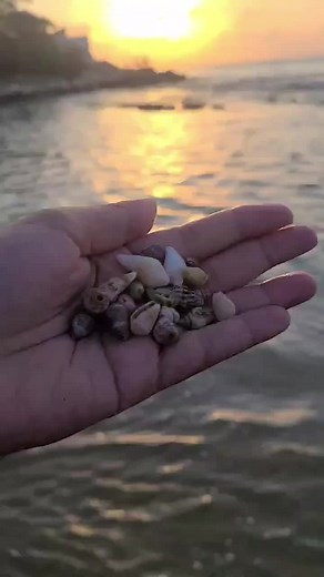 ‏Sunset vibes ✅️ #sunset #summer #lebanon #beach #seashore #لبنان