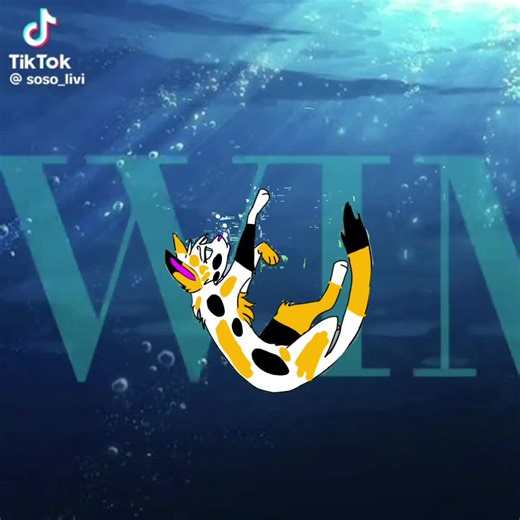 #fypシ゚ #viral #trendswim #trend #cattrendswim IB:@*ੈ✩‧₊˚༺Moon Shadow༻*ੈ✩‧₊˚