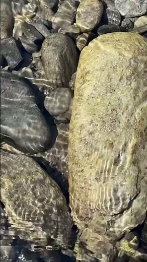 Most Satisfying Water Ripples in Slow Motions 🌊✨#viral #dance