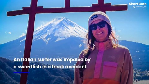Italian surfer dies after being impaled by swordfish in freak accident