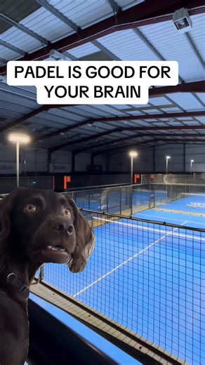 Understanding Padel: Benefits and Common Questions