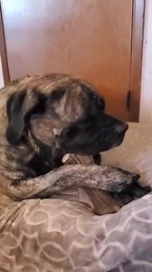 Allagash Antlers on Reels | Facebook