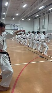 1.3K views | Great day’s session with our Chief Instructor Ohta Sensei 8th Dan JKA As always, great performance depends on great basics… the better your basics, the better your performance. #sevenoakskent #sevenoaks #sevenoaksmums | Invicta Karate Academy | Facebook