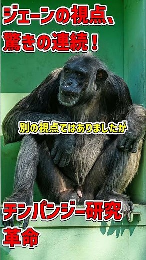 ジェーン・グドールが変えたチンパンジー研究の未来 #ジェーングドール #動物行動学