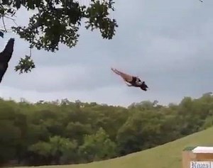 11K views · 25 reactions | #EPIC #FAILS #COMPILATION  | Hilarious Videos | Facebook