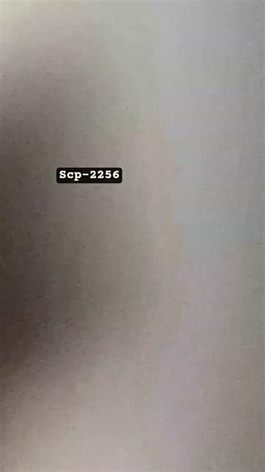 SCP-2256