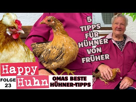 Keeping chickens: The best tips from grandma's time! Broody hen / chicks / feed HAPPY CHICKEN E23