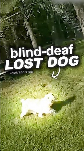 Dog Owner Confronts Corrupt Cop