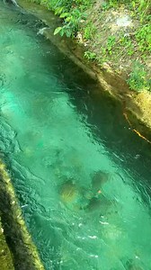 58K views · 2.8K reactions | Nature's gift  #naturelovers #naturebeauty | Charmine B Gamayon | Facebook