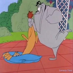 Best Funny classic cartoon | Cartoon funtime