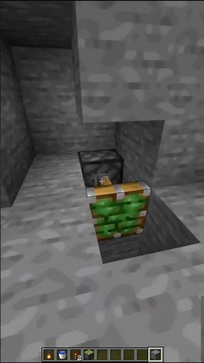 Minecraft Secret Room Trick Revealed Now? #shorts #minecraft