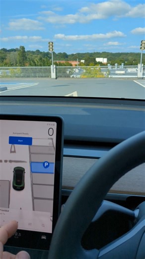 Tesla Autopark does a great job (in my 2024 Tesla Model Y)