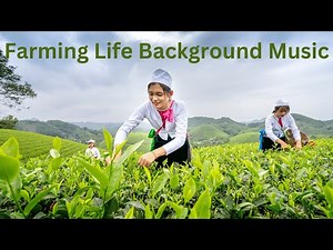 Farming Life Background Music | Copyright Free Music
