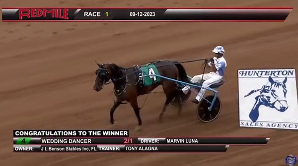 23 reactions | Wedding Dancer [Muscle Mass-Haul`n Fanny] w/ Marvin Luna for Owners J L Benson Stables Inc - FL, Breeder J L Benson Stables Inc - FL at Red Mile Racing. #alagnaracing | Alagna Racing | Facebook