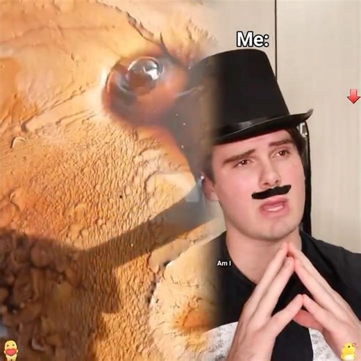 New smartest kid in class #pov #funny #foryou #memes #relate #newmemes #relator #storytime