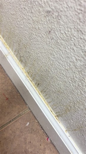 Love a good baseboard clean. ❤️ | cleaning baseboards