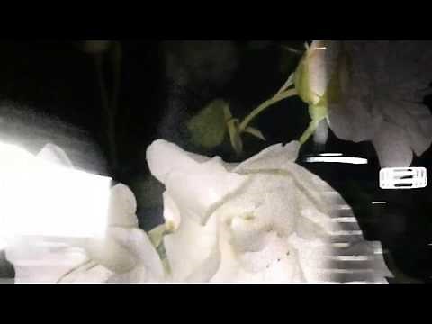 Charli XCX - i finally understand [Official Audio]