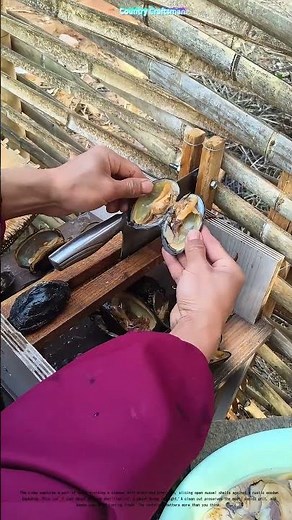 Knife Skills Meet Shellfish: Why Clean Cuts Save Your Mussel Dinner
