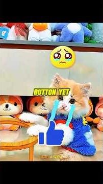 Out of Control Kittens Shock Their Owner 😳🐱 #shorts