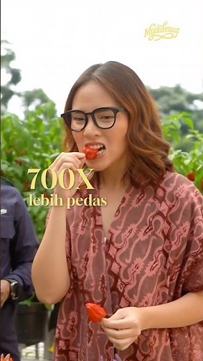 TRY CHILI 700x SPICIER THAN REGULAR CHILI