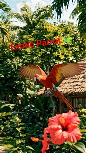 Exotic Parrots 🦜 #सुंदरतोत #tropicalbirds #vibrant #intelligent #birds #ytshorts