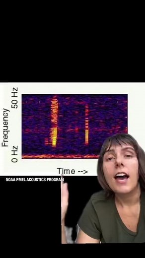 Exploring the Mysterious Sound of the Deep Sea