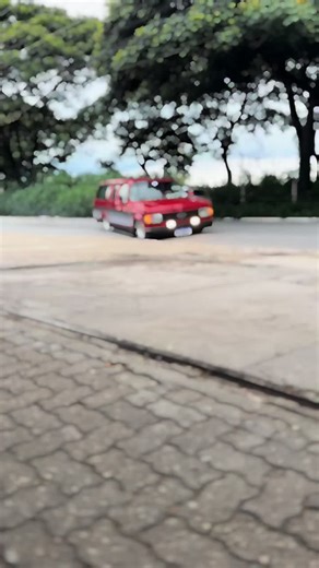 Dona VERA: A Celebration of D20 Chevrolet Trucks