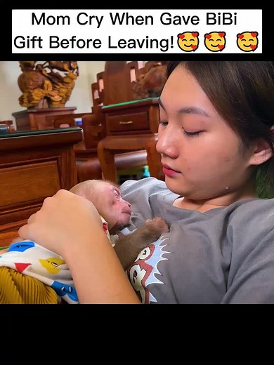 BiBi 🥰 🥰🥰 #monkey #monkeys #babymonkey #monkeybibi #monkeyfamily #animals #thucung