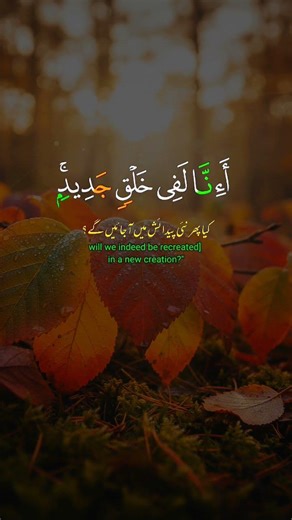 Beautiful ❤️ ❤️ 😍 😍 Quran Recitation | Peaceful Tilawat That Touches the Heart #quran #tilawat