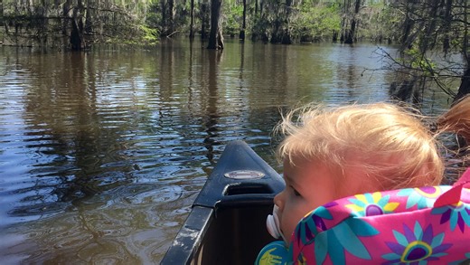What can you do at Lake Bistineau State Park? Every kind of trail