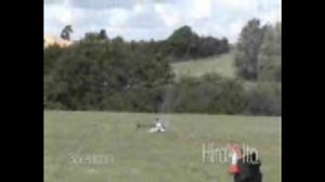 ラジコンヘリ　3D