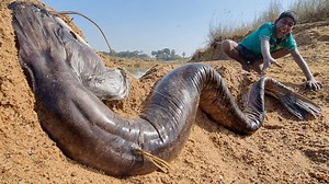 Amazing Hand Fishing Finding Catching System Best 2023 Big Fish Searching Video #fishing | Discovery Site