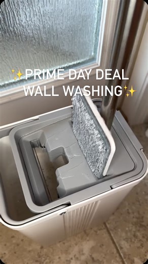 Hailey Becnel | Cleaning & Lifestyle on Instagram: "Follow me & comment “MOP” below for a link to my wall washing’ mop! Not only do I use this on my walls, but also on my floors, windows, and baseboards! It has a self cleaning bucket and comes with 4 machine washable microfiber pads. Safe on all floor types! #cleaningmotivation #cleaningtips #cleaningroutines #cleanhome #amazonfinds #cleanwithme #viralvídeos"