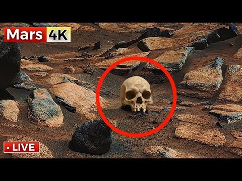 NASA Mars Rover Sends New 4K 360° Footage of Mars SOL 1556! Perseverance Rover' Mars 4K Video
