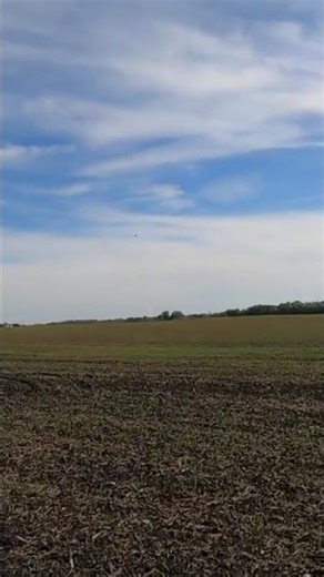 Beechcraft rc biplane #rc #shorts