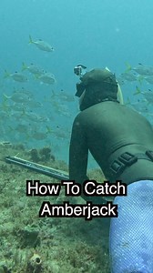 Spearfishing Florida Amberjack! #fishing #spearfishing | Nick Bailey Spearfishing