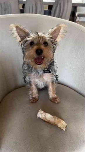 Amazon’s Coolest Products Under $50!